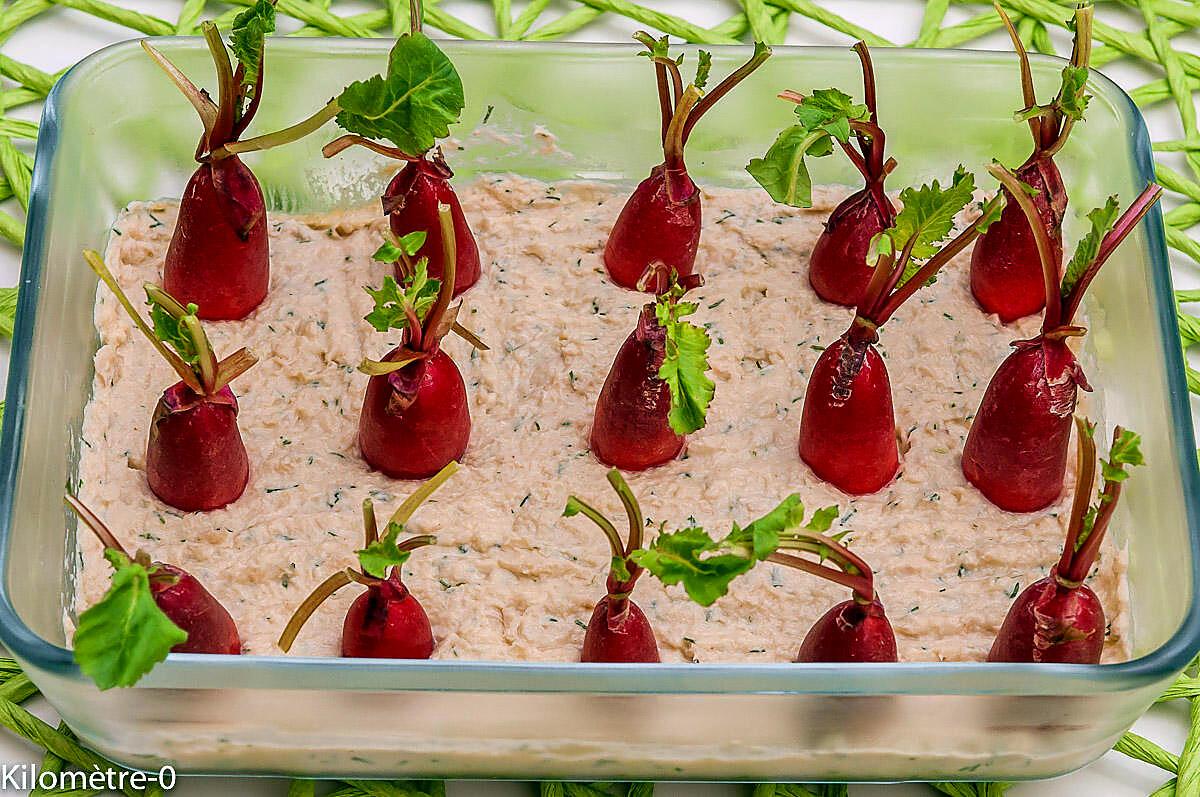 recette Champ de radis à la mousse de thon