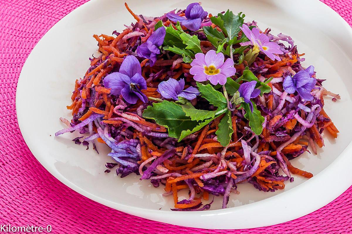 recette Salade de chou rouge, radis noir et carottes