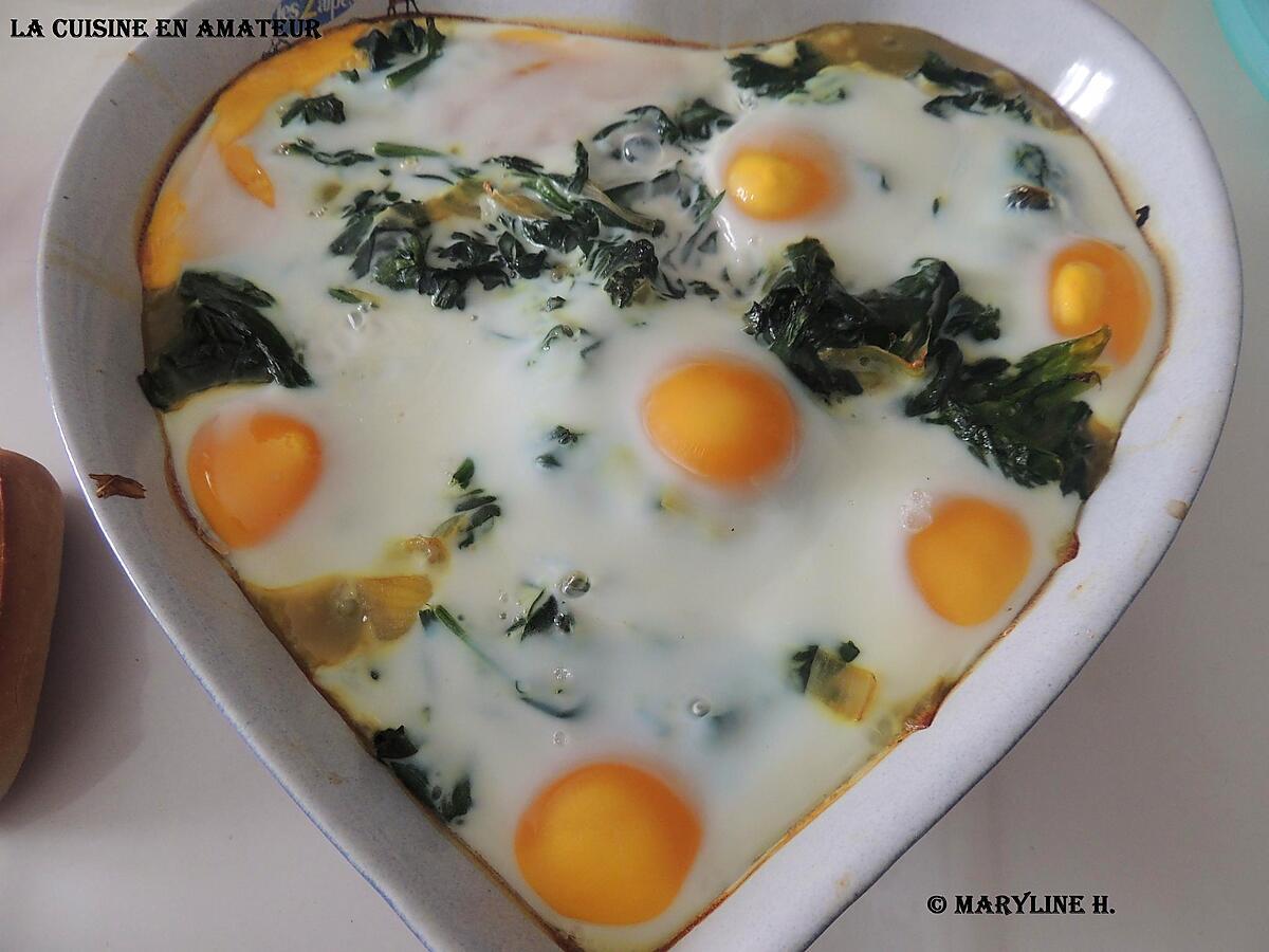 recette Gratin épinards et oeufs