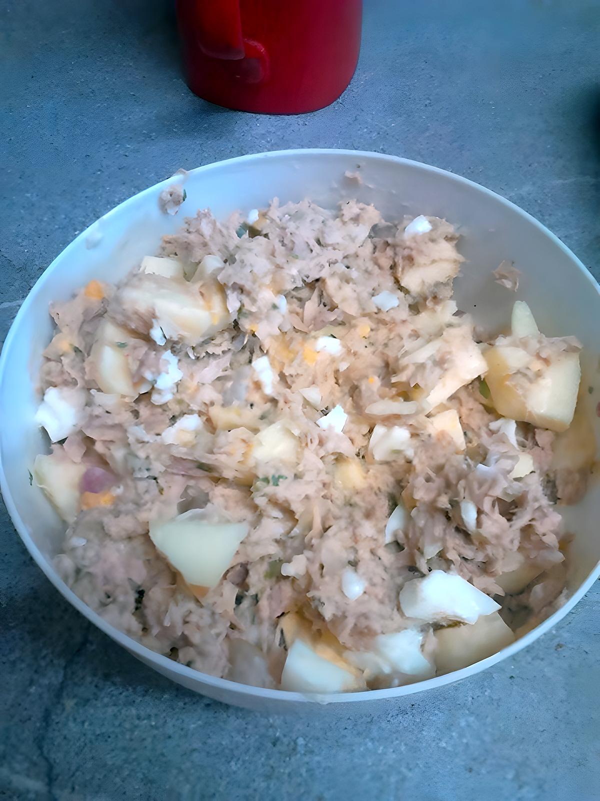 recette salade de thon au pomme