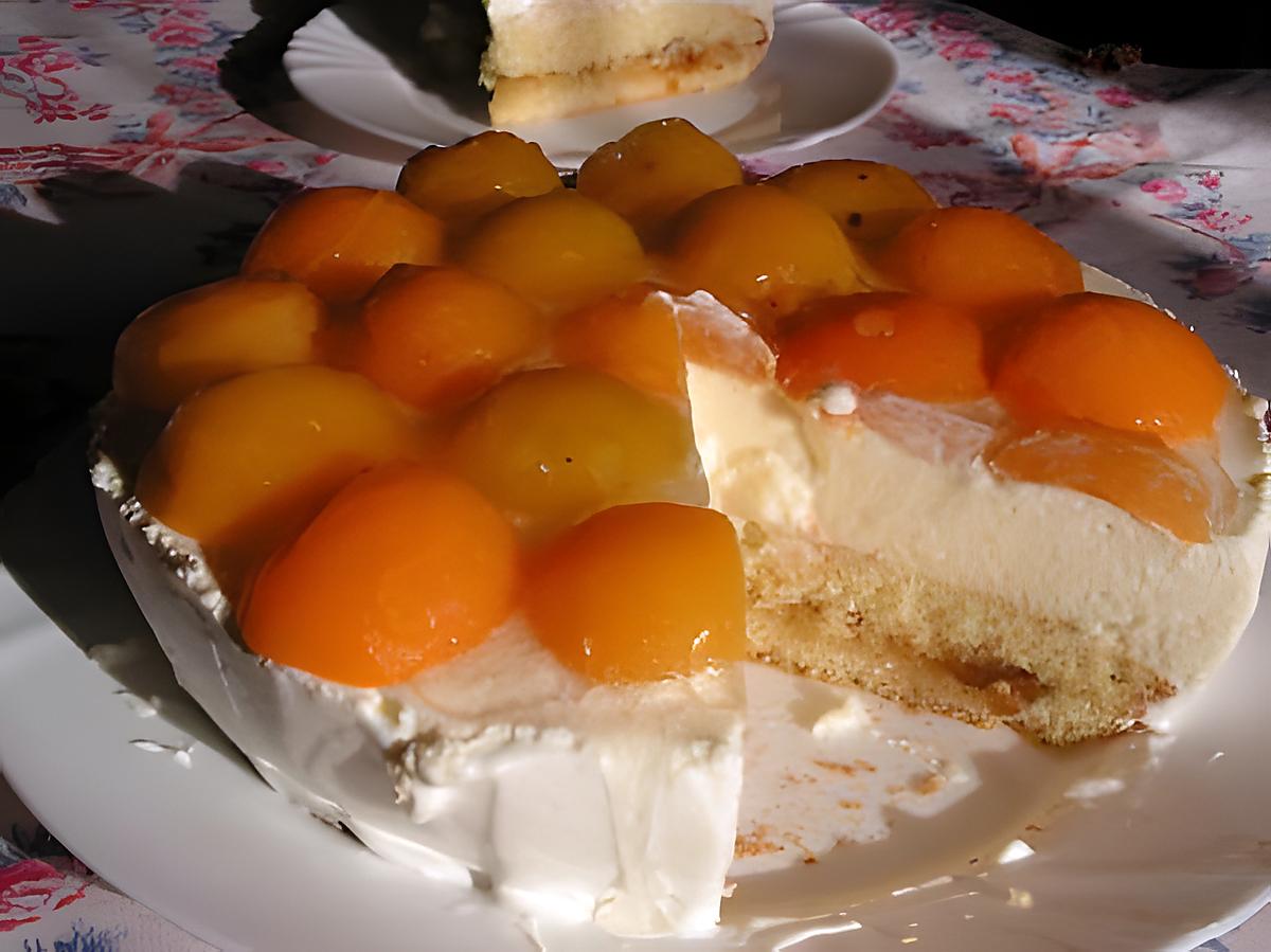 recette Gâteau à l'abricot