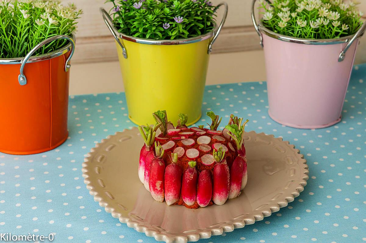 recette Chèvre à la tomatine et aux radis