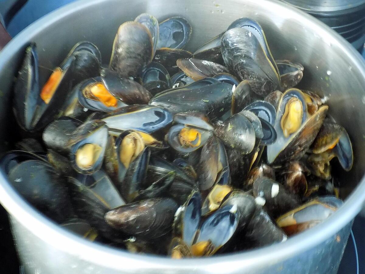 recette Moules à la crème de safran