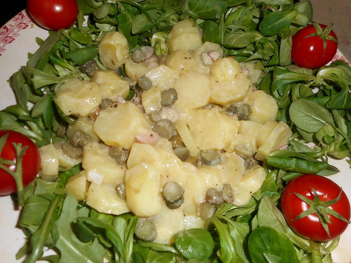 recette Salade de paleron de boeuf