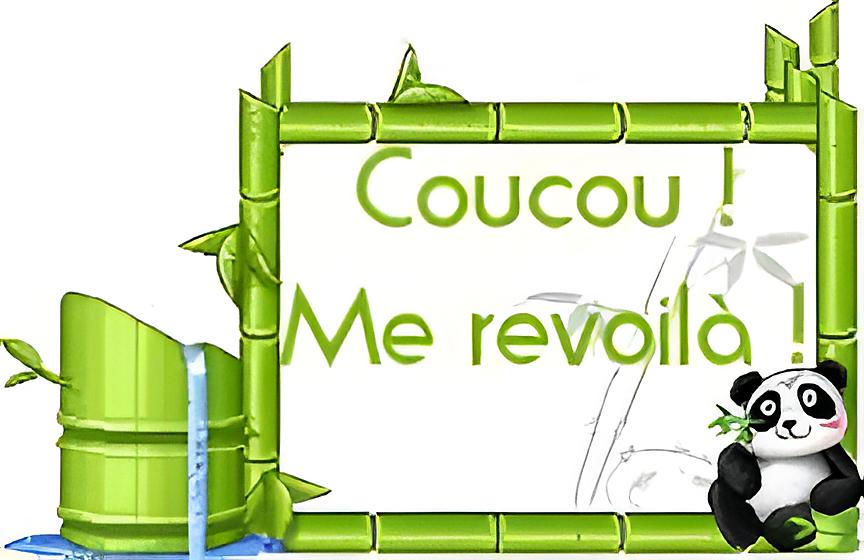 recette Coucou me revoilà