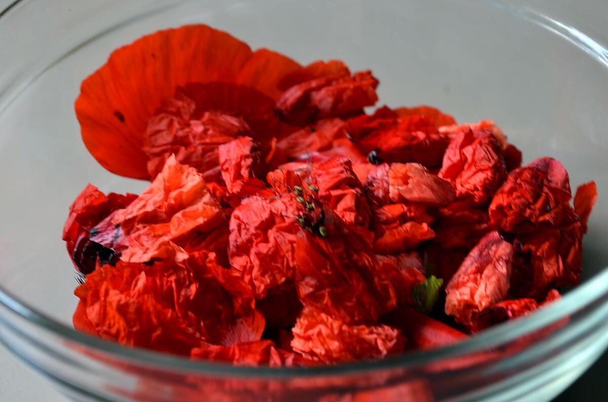 recette SIROP DE COQUELICOTS