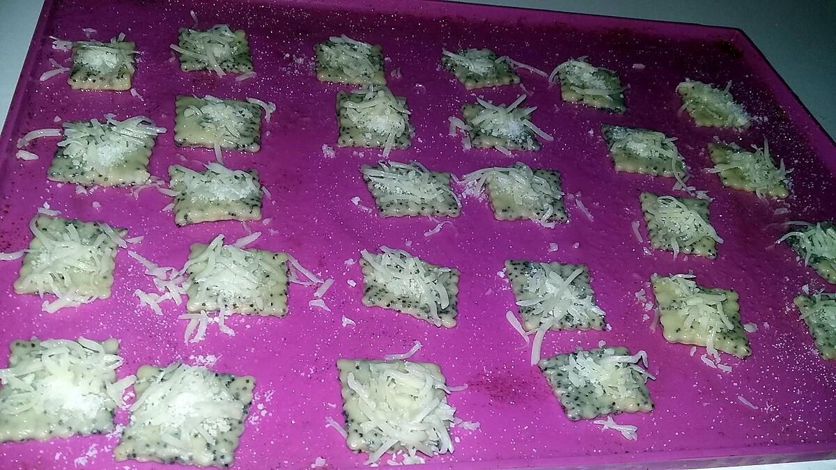 recette Crackers au graines de pavot parmesan