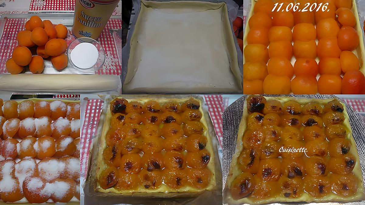 recette Tarte aux abricots frais nature.