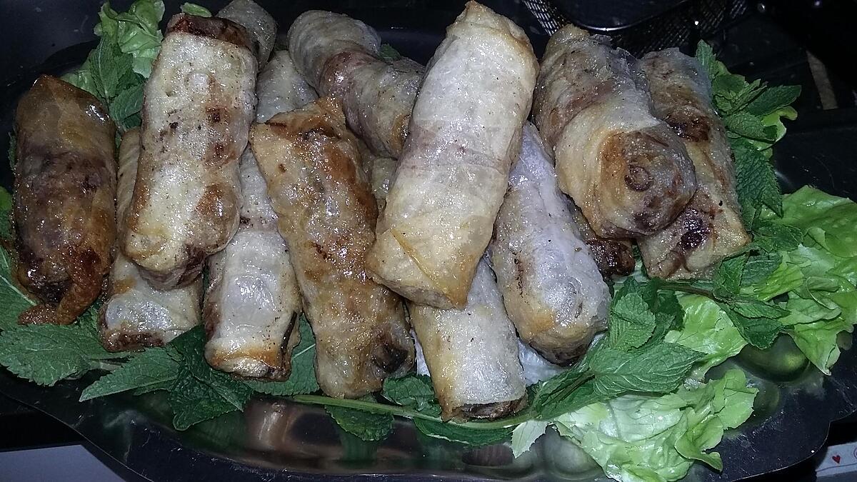 recette Nems au bœuf épicés