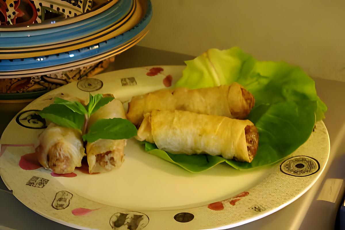 recette Nem-d'an, Pâtés Impériaux, Rouleaux Frits Vietnamien, Cha-gio
