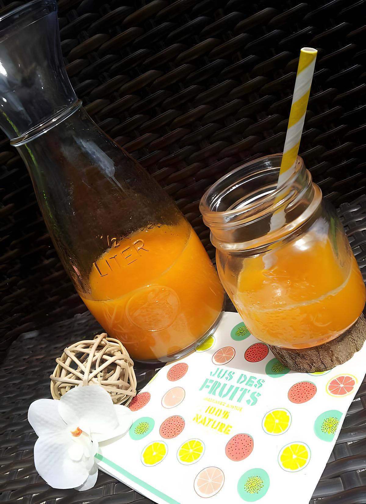 recette Nectar d'abricots vanillé fait maison