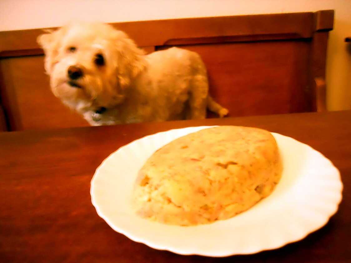 Recette de TERRINE DE THON AUX POMMES DE TERRE