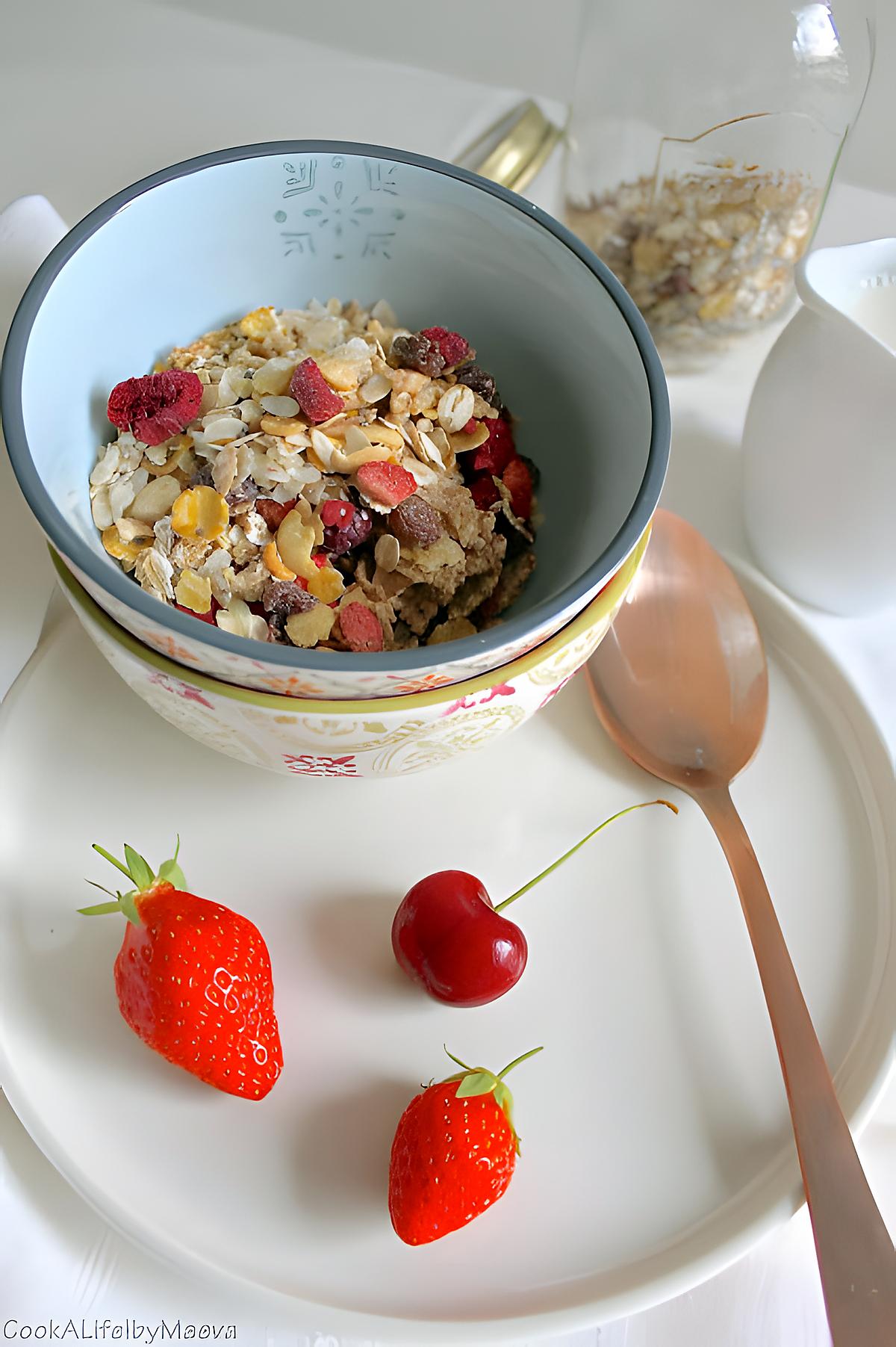 recette Muesli protéiné, super aliments, fruits rouges et fruits secs (sans gluten)