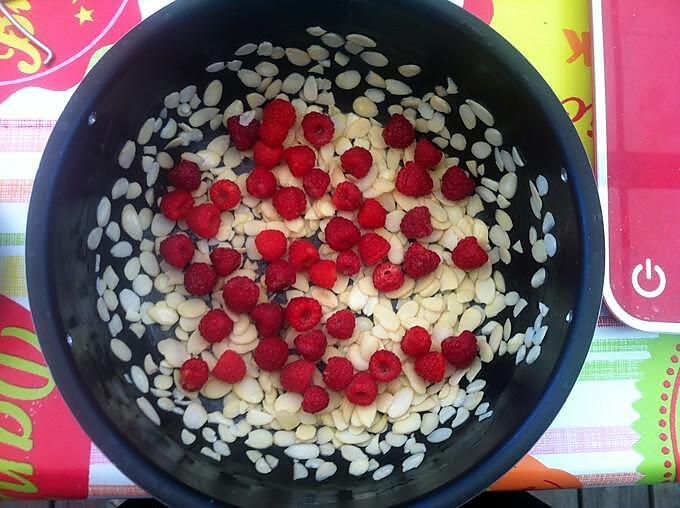 recette GÂTEAU AUX POMMES/FRAMBOISES au COOKEO