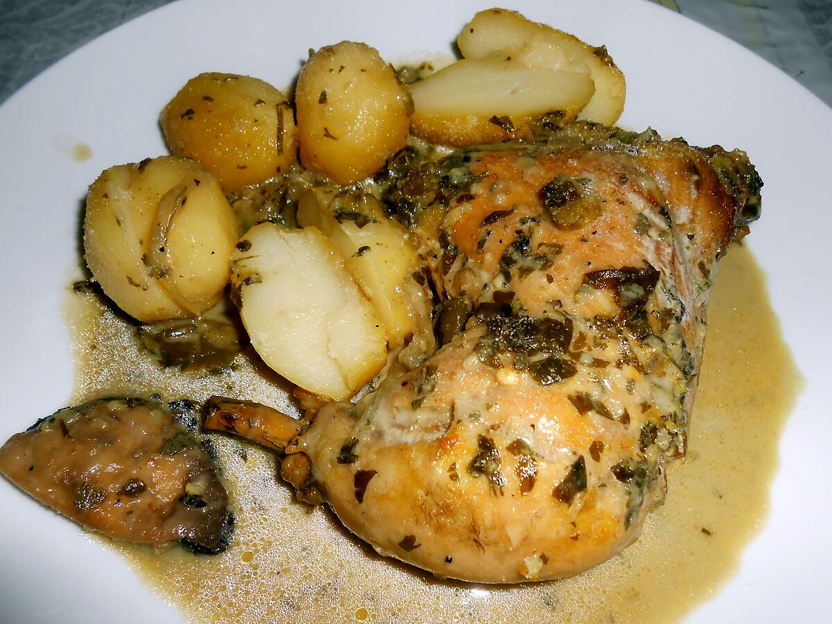 recette POULET SAUCE CREME AUX HERBES SAFRANEES