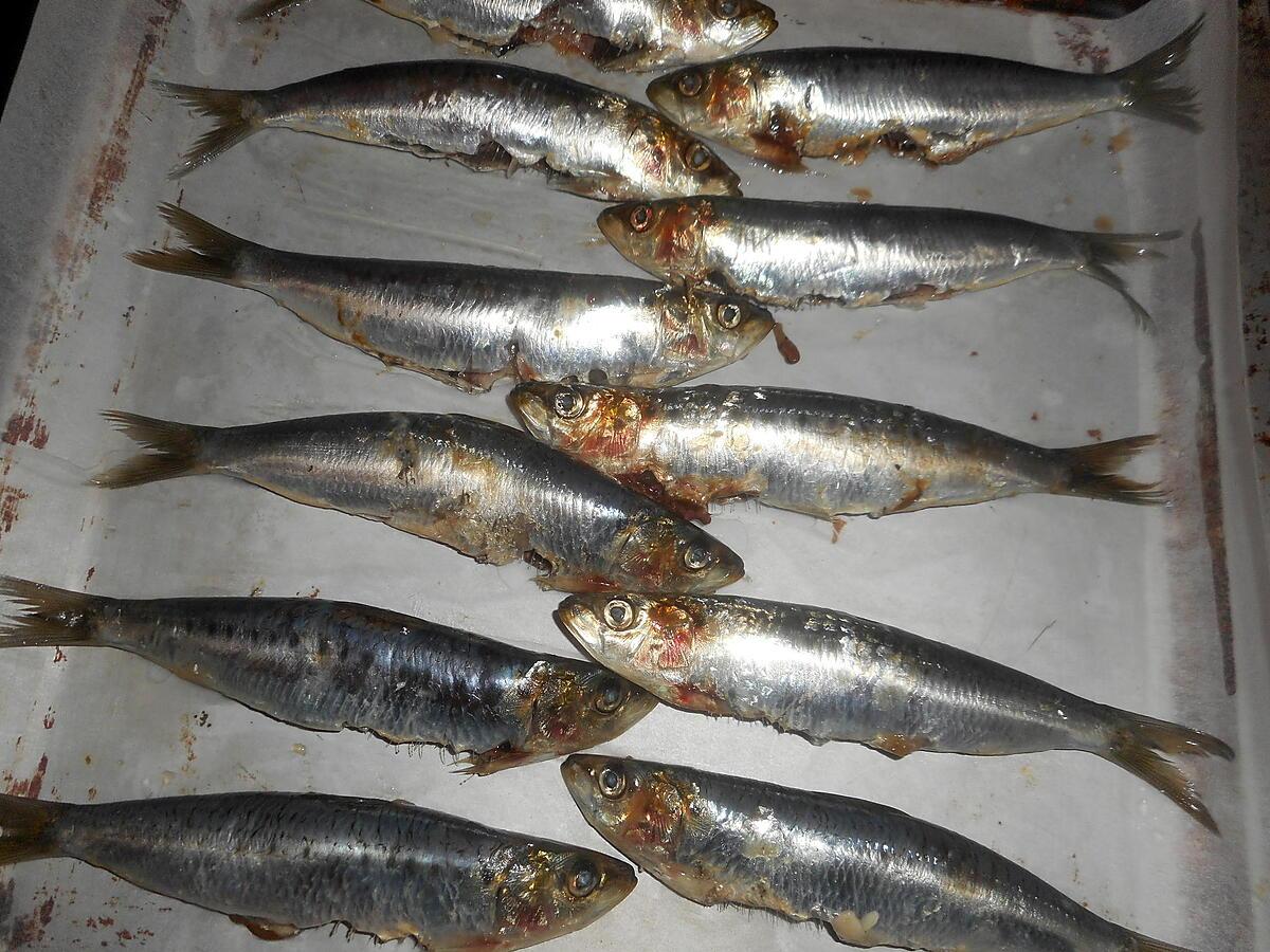 recette Sardines à la sauge