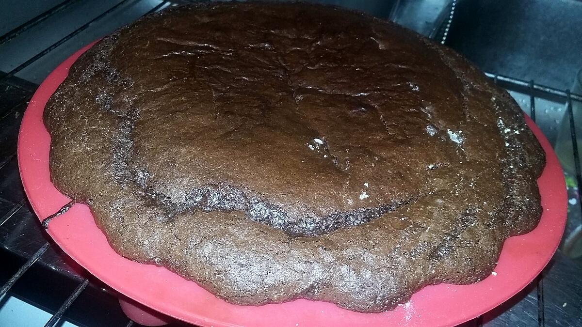 recette Gâteau au cacao et au chocolat sans oeufs