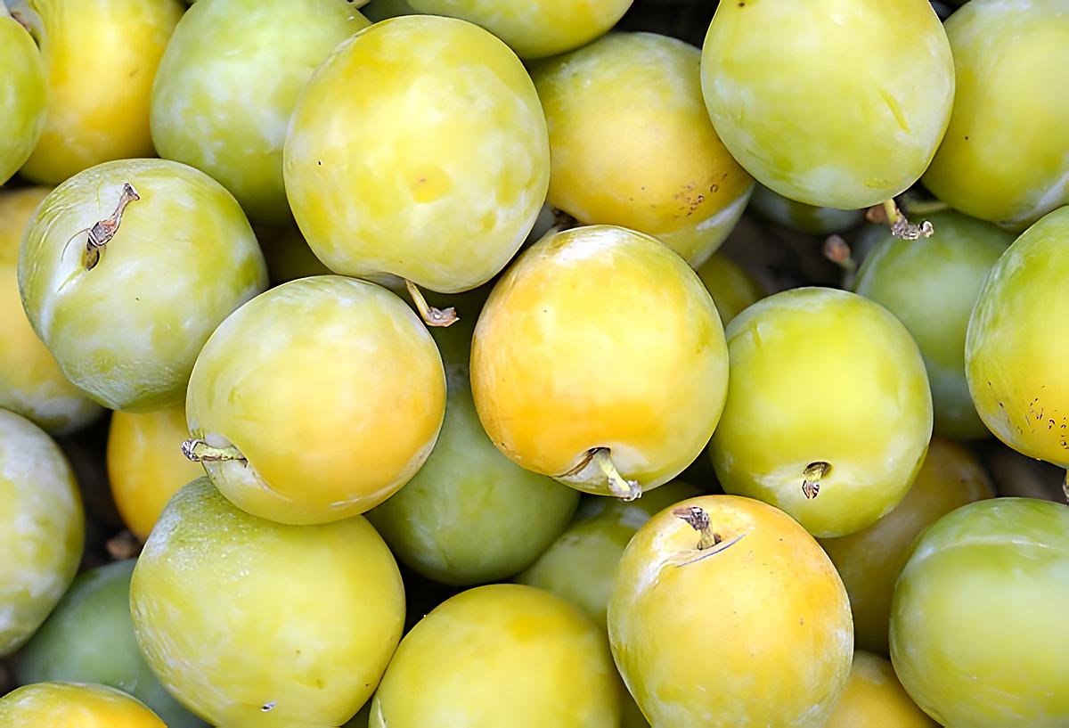 recette Tkemali, sauce aux prunes