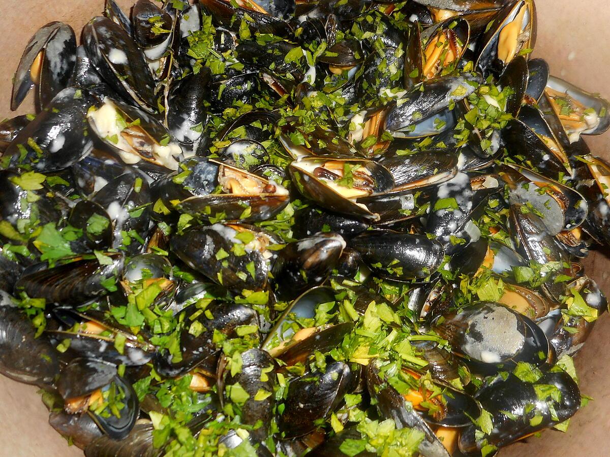 recette Moules au maroilles