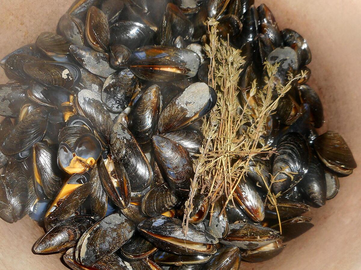 recette Moules au maroilles