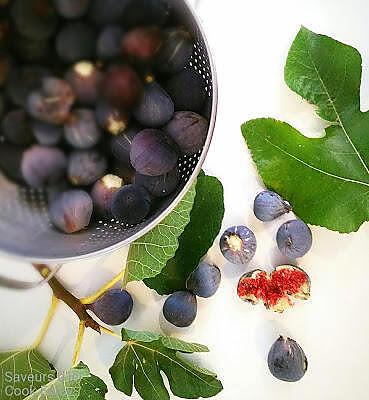 recette Confiture Allégée de Figues au Romarin (Thermomix ou pas)
