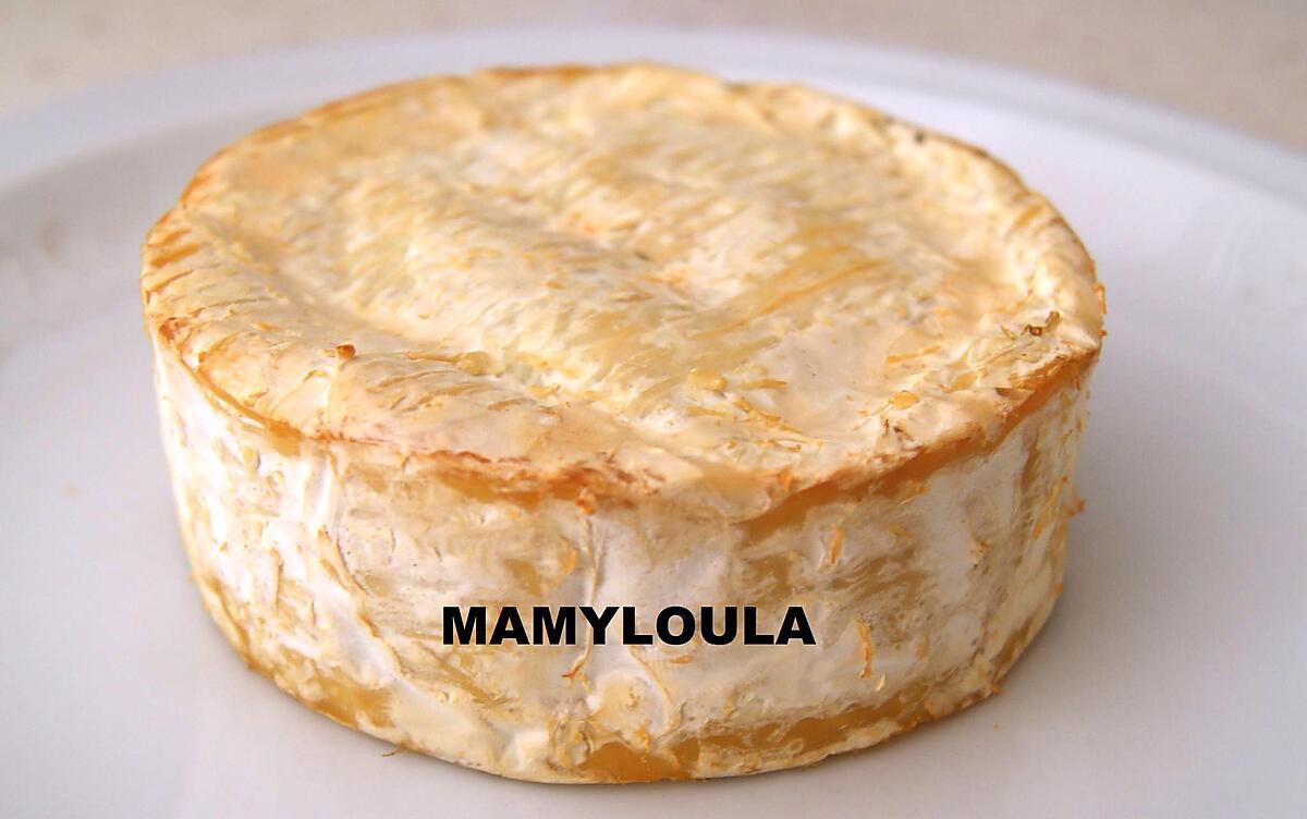 recette Camembert fumé maison