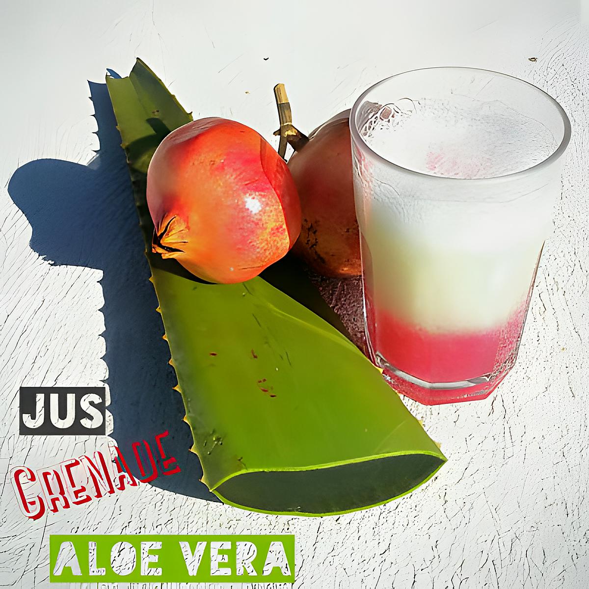 recette Se désaltérer : Jus Detox Aloe Vera Grenade (Thermomix ou pas)