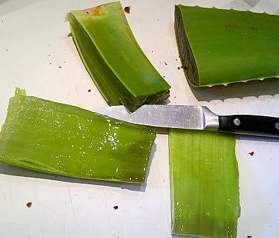 recette Se désaltérer : Jus Detox Aloe Vera Grenade (Thermomix ou pas)