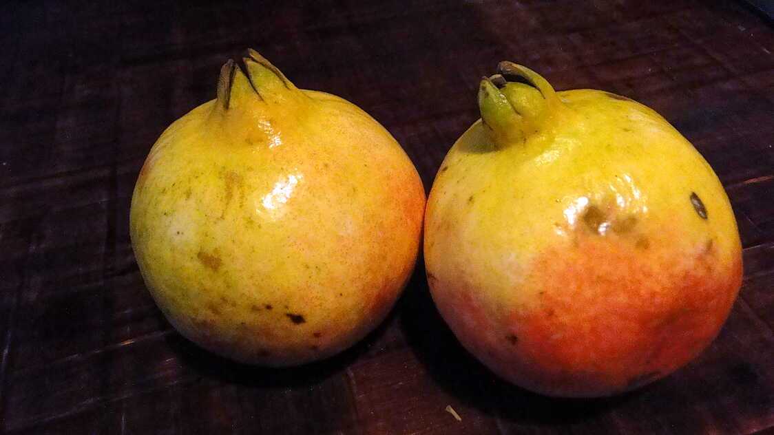 Recette Libanaise Avec Mélasse De Grenade