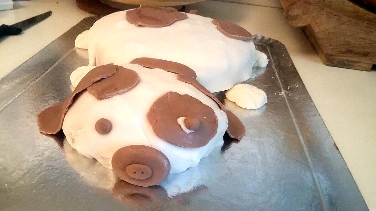 recette Gâteau chien