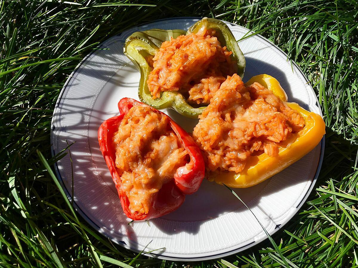 recette Poivrons farcis au risotto à la tomate (plat végétarien)