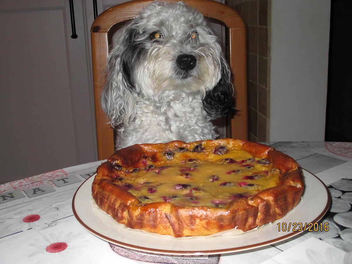 recette clafoutis aux raisin