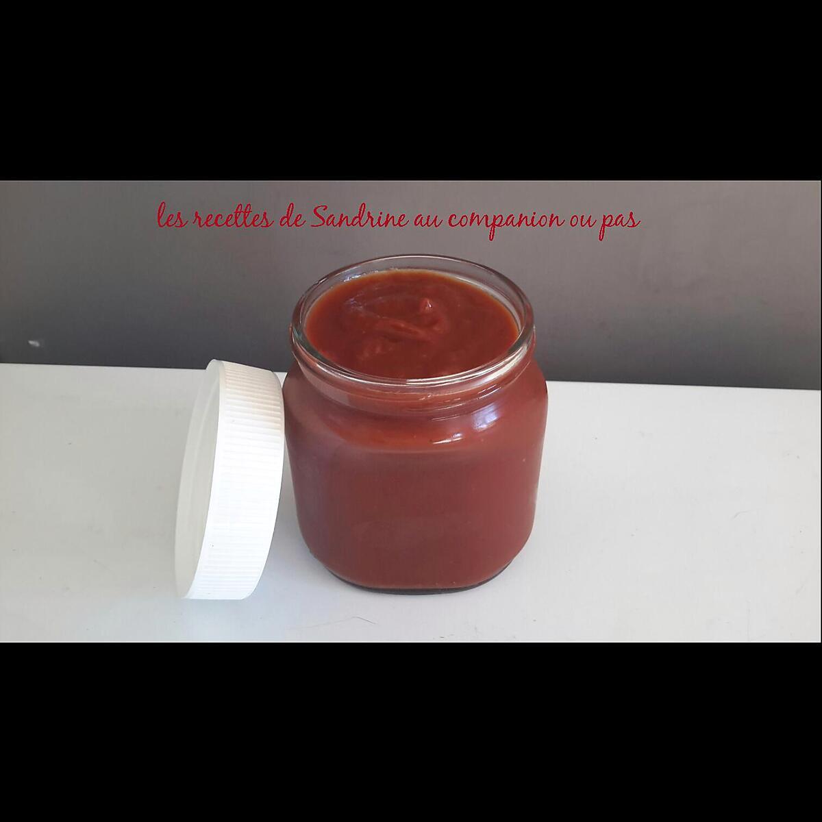 recette Ketchup fait maison au companion ou autres robots