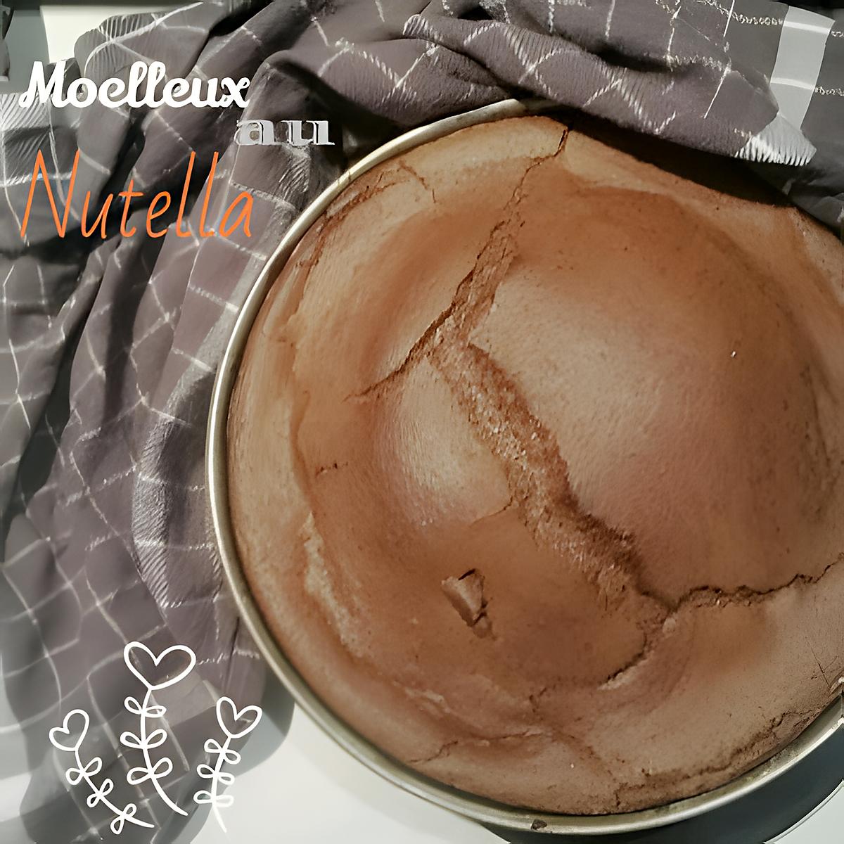 recette THERMOMIX : Moelleux au Nutella .. pure et simple tuerie !