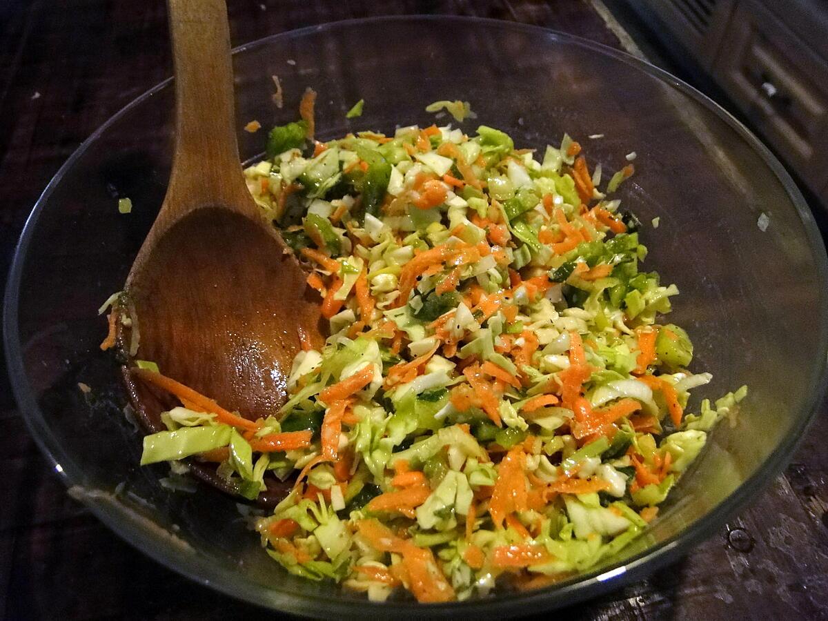 recette Coleslaw à la façon syrienne