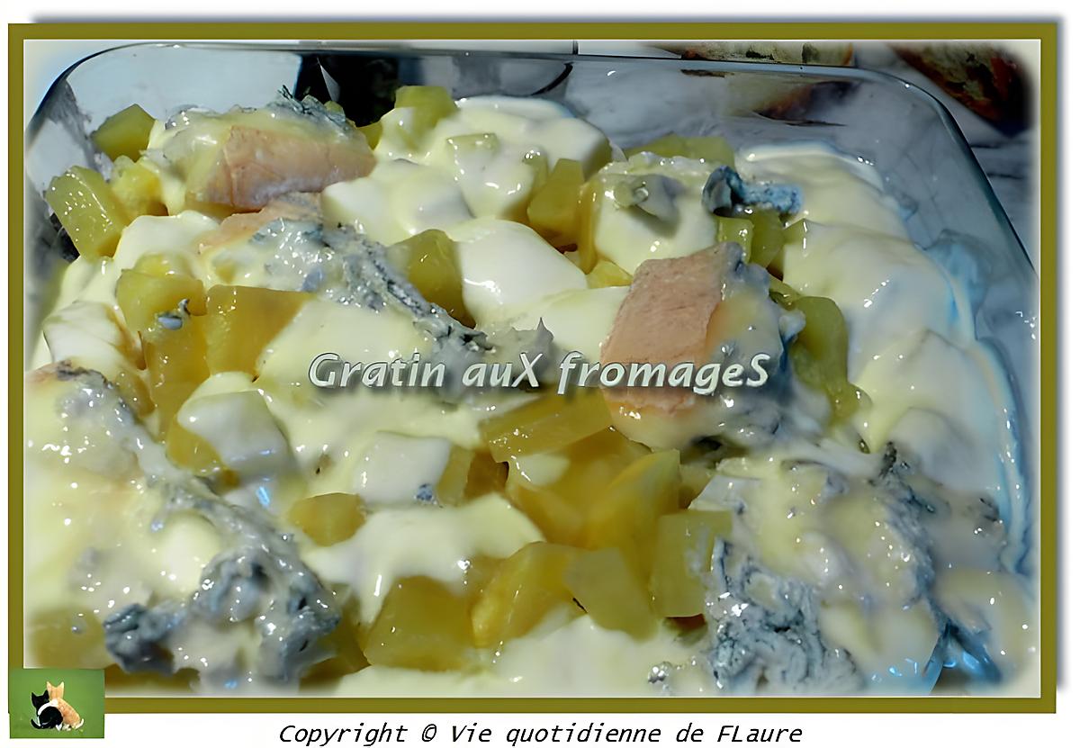 recette Gratin auX fromageS