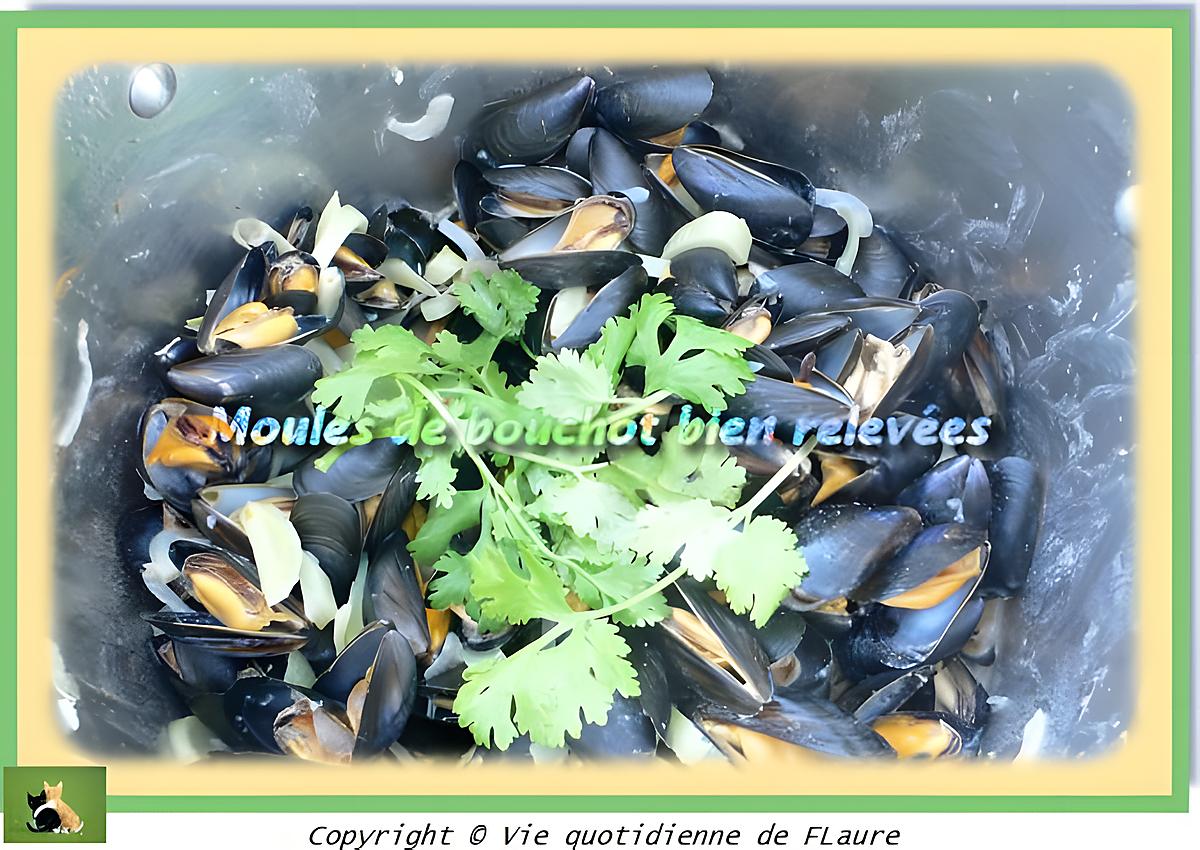 recette Moules de bouchot bien relevées