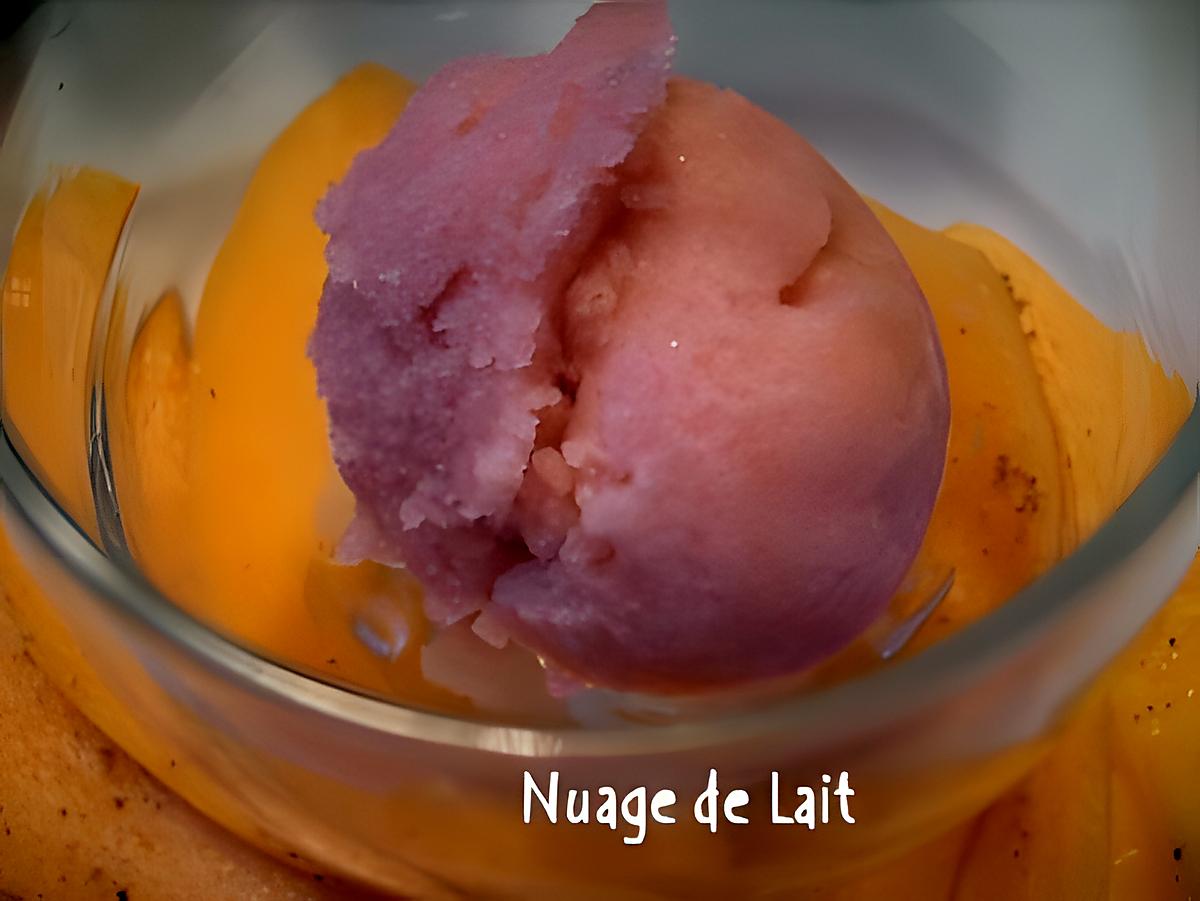 recette SORBET  PORTO