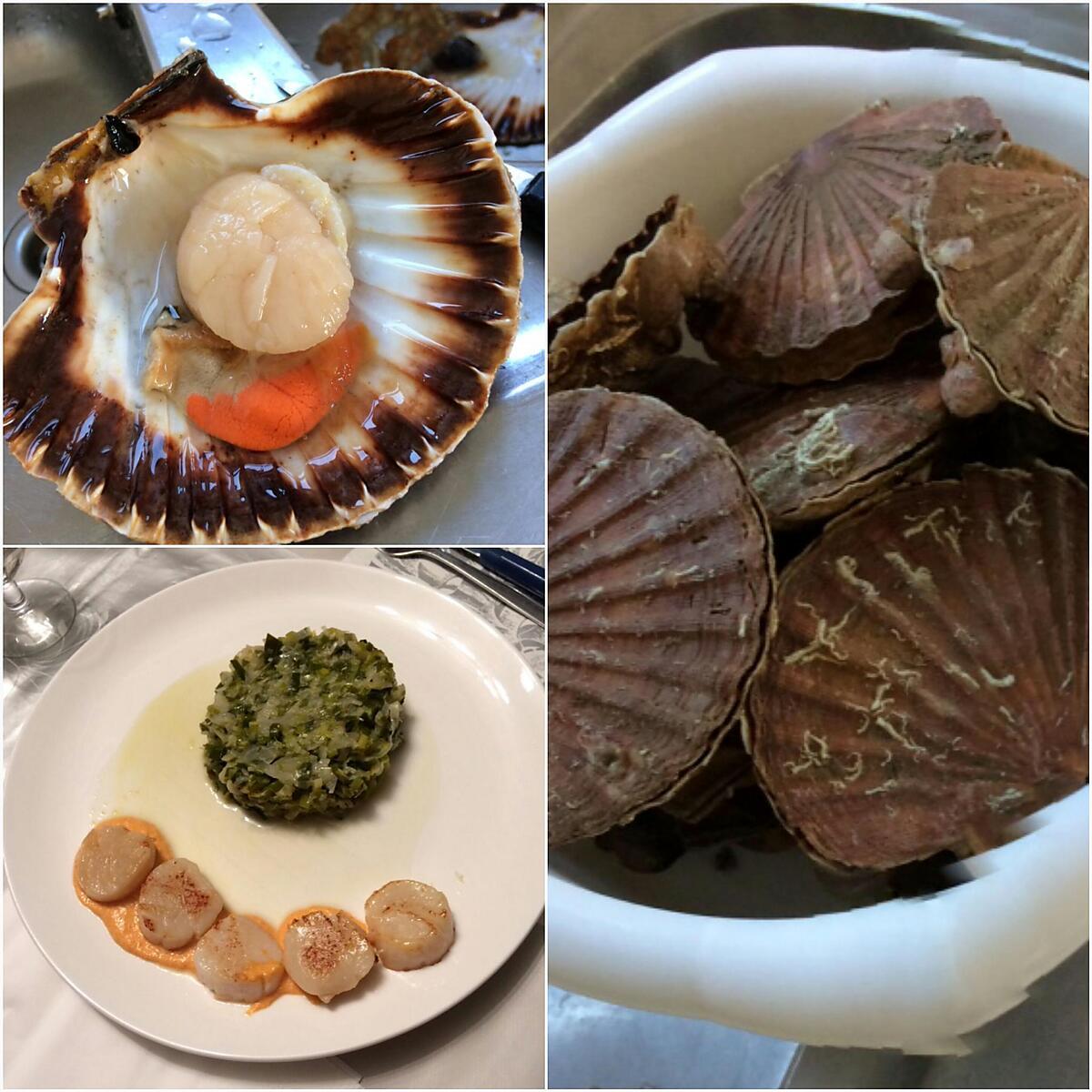 recette Coquille st Jacques sauce corail