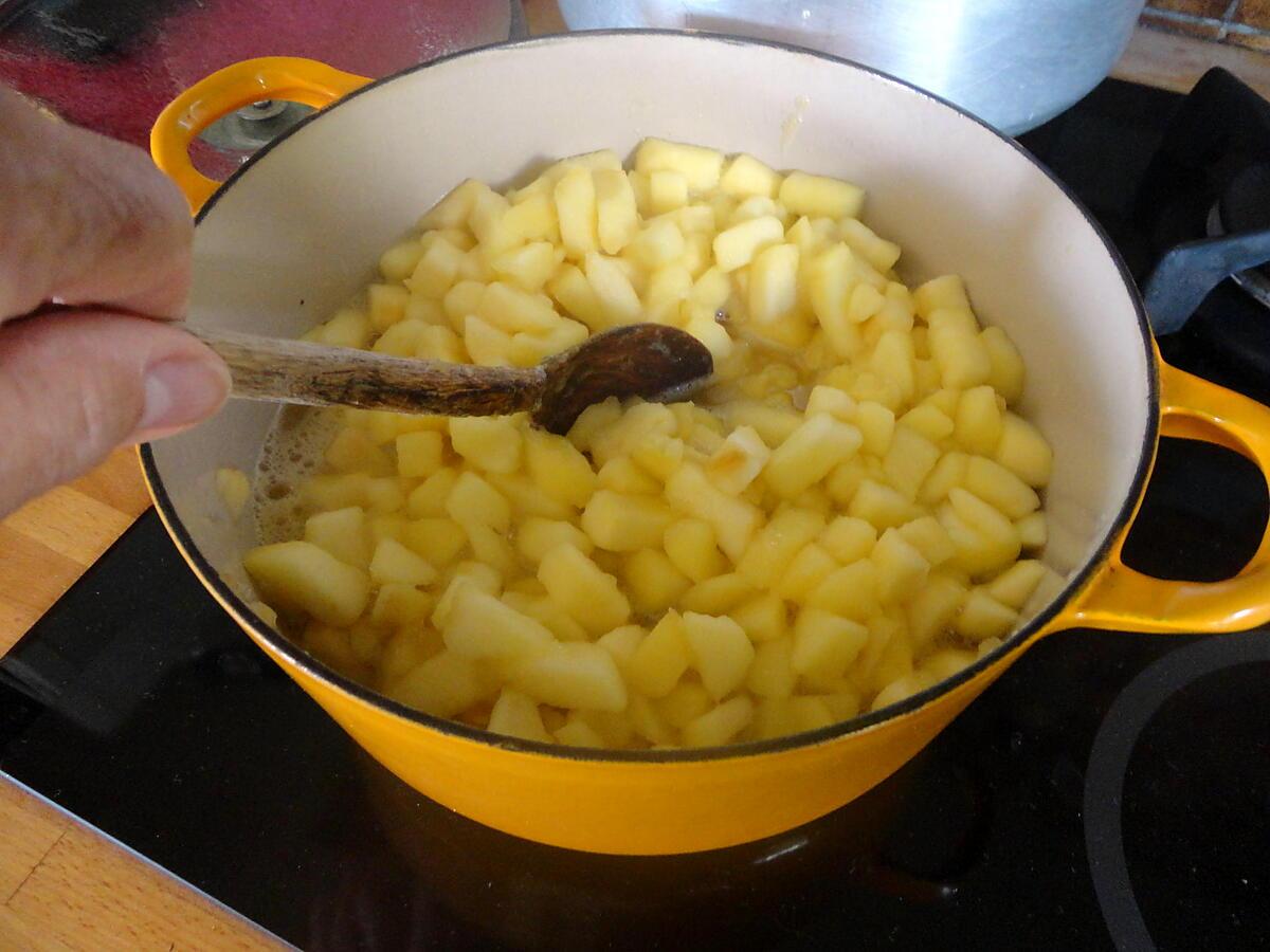 recette Beurre de pommes, version traditionnelle CANADIENNE