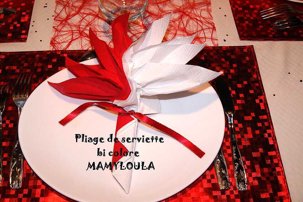 recette Pliage de serviette palmier bi colore (rouge et blanc)