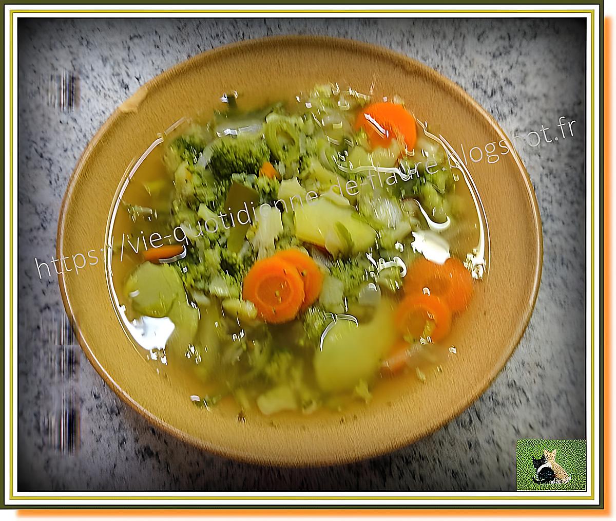 recette Soupe, brocoli - carotte - poireau, non mixée