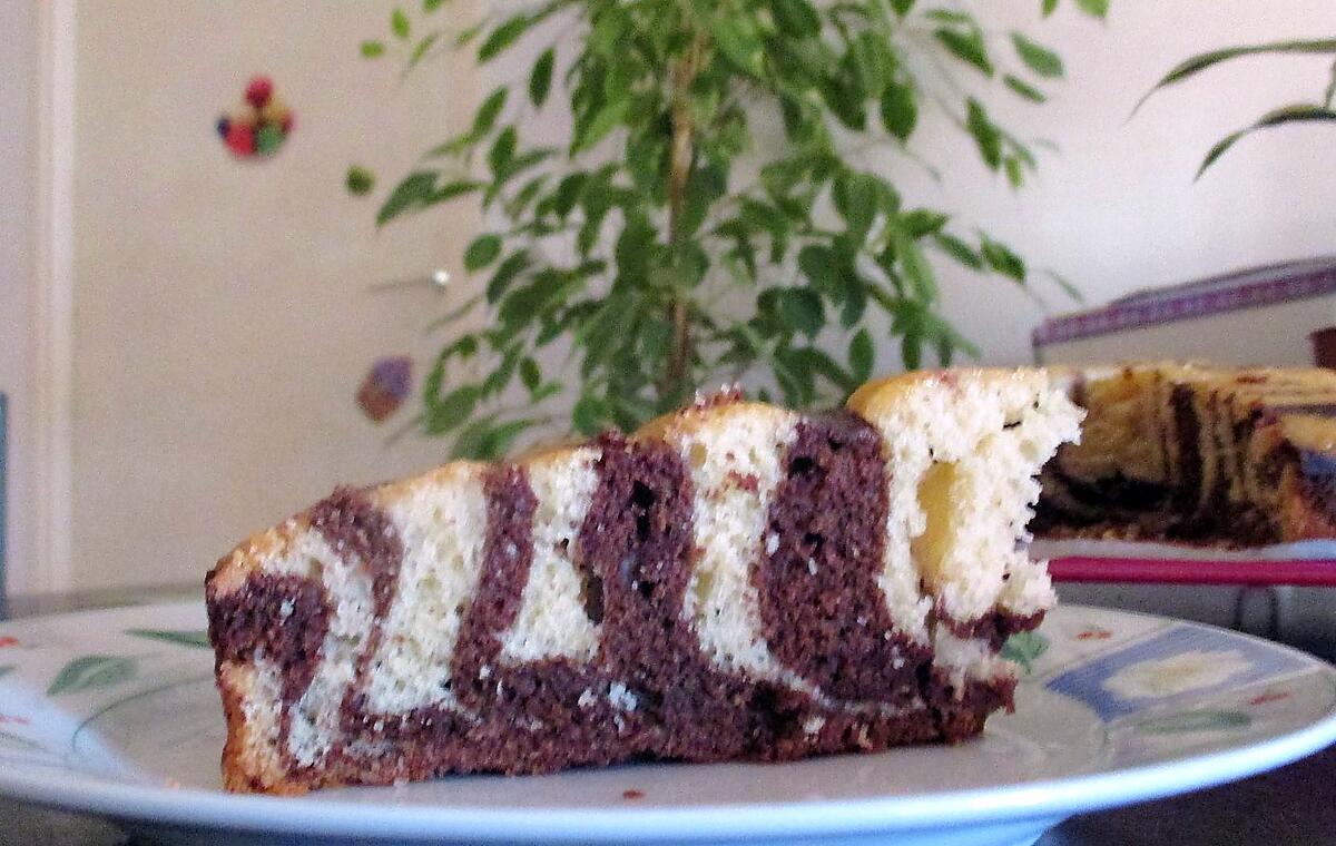 recette GATEAU TIGRE ( OU ZEBRE ) AU YAOURT D' AXEL