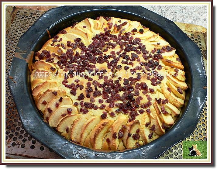 recette Gâteaux moelleux à la pomme et aux pépites de cranberries