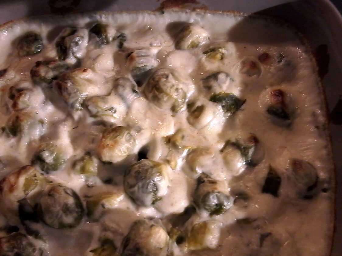 Recette Gratin Choux De Bruxelles Béchamel