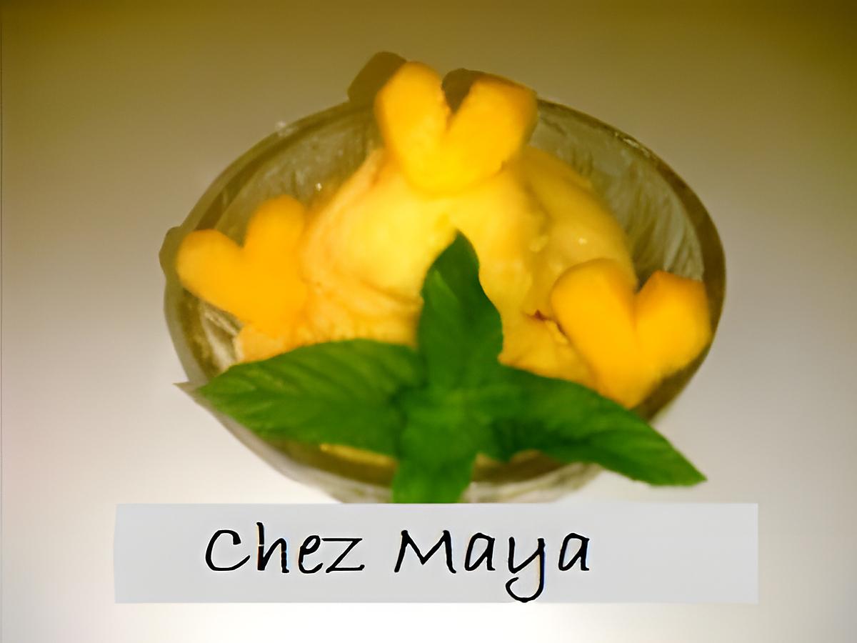 recette sorbet de melon