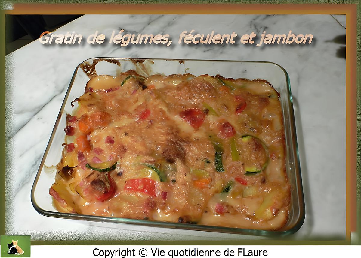 recette Gratin de légumes, féculent et jambon