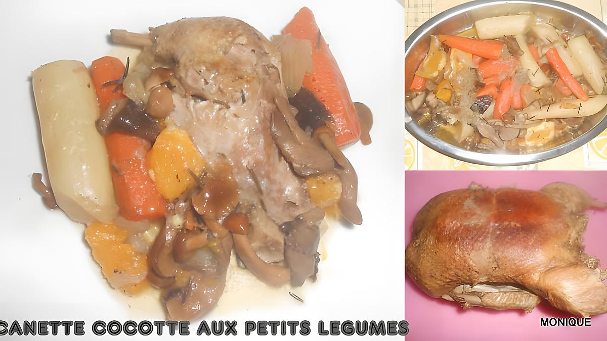 recette CANETTE AUX NAVETS CAROTTES ET CHAMPIGNONS