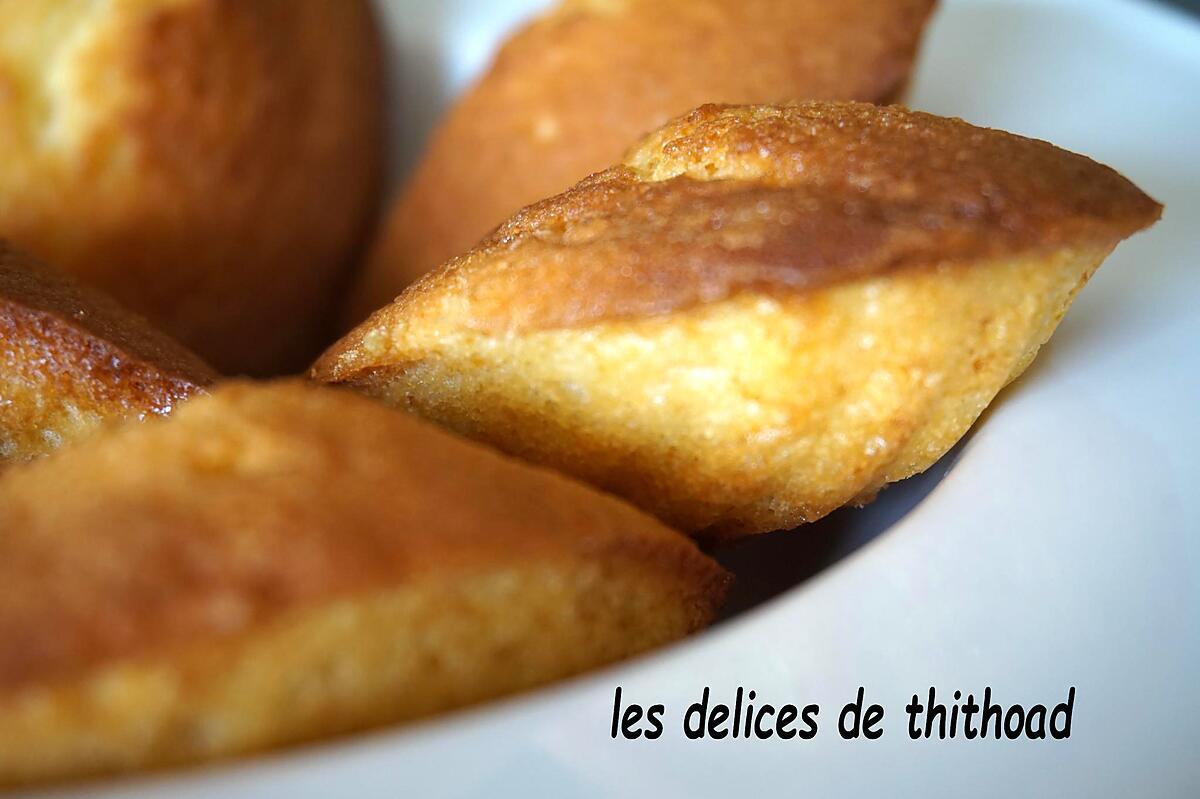 recette madeleines au miel et fleur d'oranger (au i'cook'in)