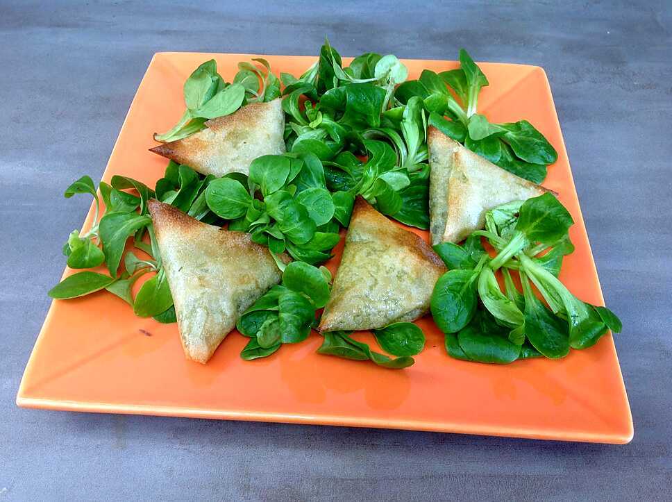 recette Samoussas porc, epinard (avec des restes)